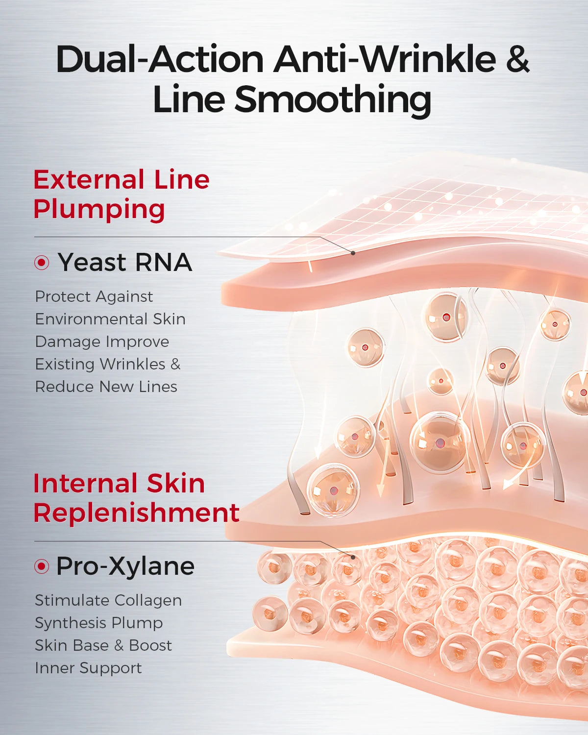 Firming & Brightening Face Cream with Yeast RNA