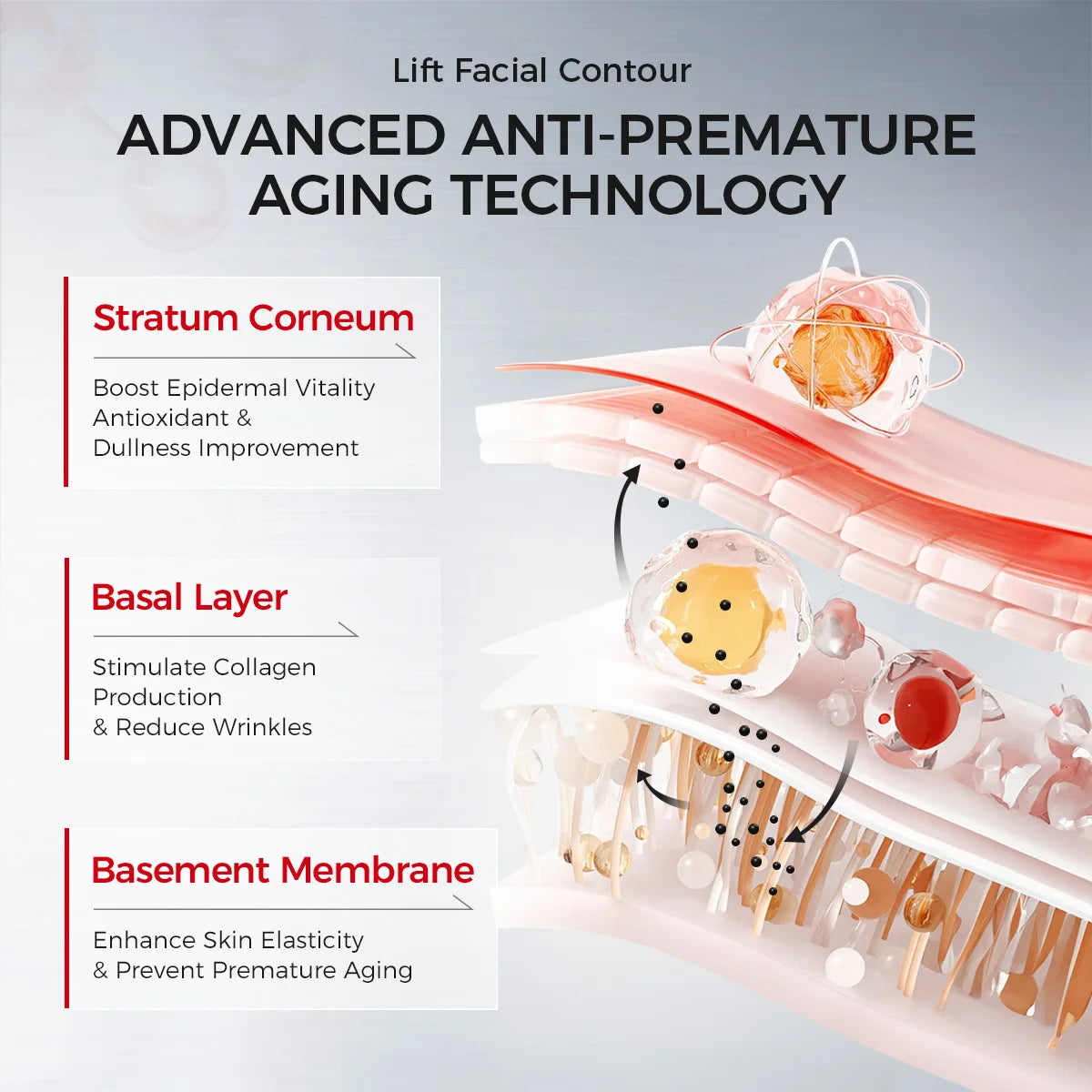 Firming & Brightening Face Cream with Yeast RNA